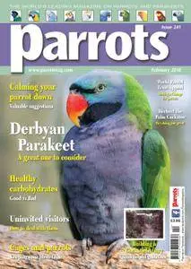 Parrots - February 2018