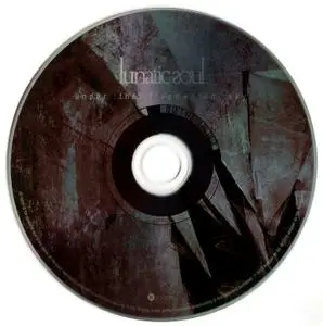 Lunatic Soul - Under The Fragmented Sky (2018) PROPER