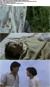 Legend Of The Dragon (1990)
