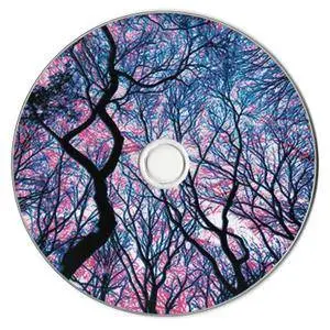 Nicotina Es Primavera - Animal Cerámico (2016)