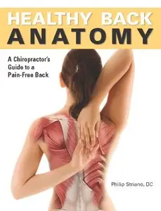 Healthy Back Anatomy: A Chiropractor's Guide to a Pain-Free Back (repost)