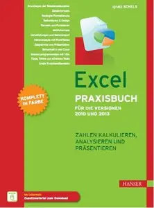 Excel Praxisbuch für die Versionen 2010 und 2013: Zahlen kalkulieren, analysieren und präsentieren