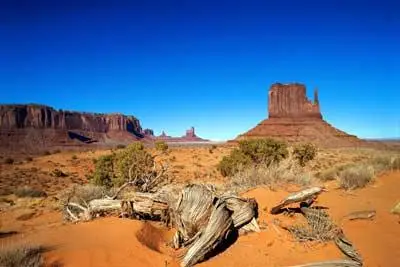 Professional photos of desert landscapes