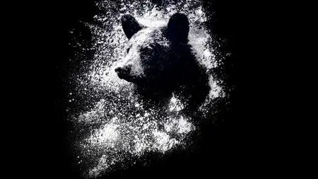 Cocaine Bear: The True Story (2023)