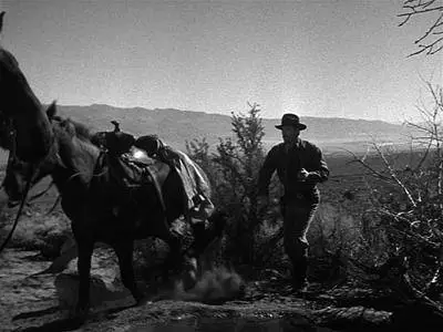 The Gunfighter (1950)