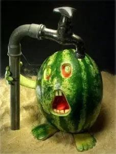 Fruit creativity from Balla Tamas