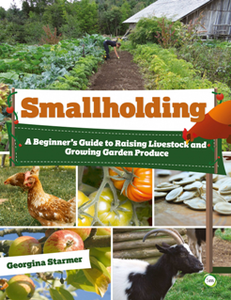 Smallholding : A Beginner's Guide to Raising Livestock and Growing Garden Produce [Repost]
