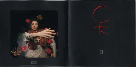 Kate Bush - This Woman's Work: Anthology 1978-1990 (1990) [8CD Box Set, TOCP-6460~67, Japan]