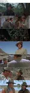 The Undefeated (1969)