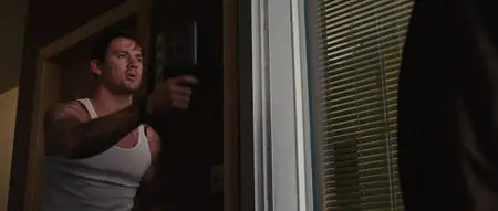 Le Dilemme / The Dilemma (2011)