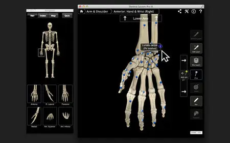 Skeletal System Pro III v3.0 Mac OS X