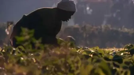 Genetic Roulette: The Gamble of our Lives (2012)