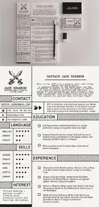Professional Pirate Resume Template