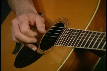 Stefan Grossman - Fingerpicking Blues Guitar Solos [repost]