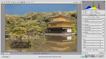 Photoshop CC Raw Workshop (2013) [repost]