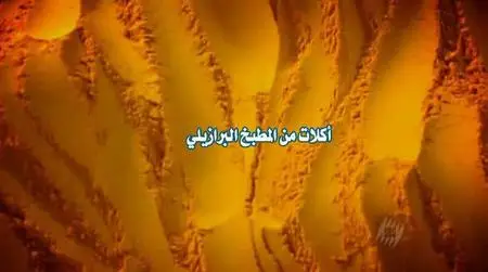 Food Safari Brazilian food