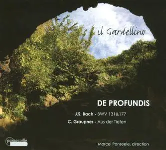 Il Gardellino, Marcel Ponseele - De Profundis: J.S. Bach, C. Graupner (2010)