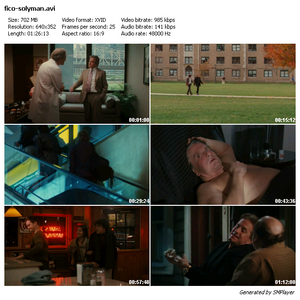 Solitary Man (2009)