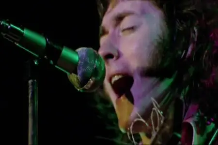 Rory Gallagher - Irish Tour (1974) [2010]