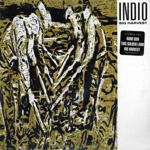 Indio - Big Harvest (1989) US Promo 1st Pressing - LP/FLAC In 24bit/96kHz