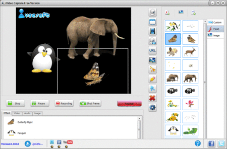 iVeeSoft iVideo Capture 3.0.1.10