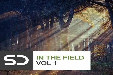 Sample Diggers - In The Field Vol 1 WAV