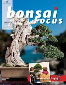 Bonsai Focus (Spanish Edition) - mayo/junio 2018