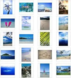 BrandX Pictures - Paradise