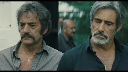 Les Lyonnais (2011)