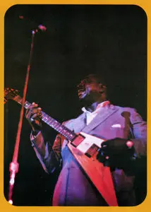 Albert King - I'll Play The Blues For You (1972) Expanded Remastered 2012