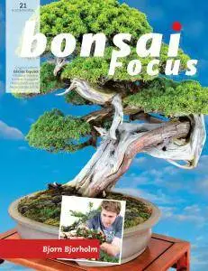 Bonsai Focus N.21- Noviembre-Diciembre 2016 (Spanish Edition)