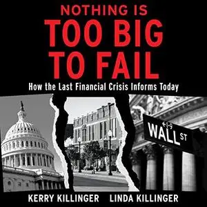 Nothing Is Too Big to Fail: How the Last Financial Crisis Informs Today [Audiobook]