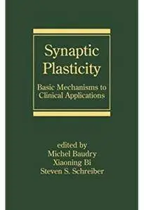 Synaptic Plasticity: Basic Mechanisms to Clinical Applications [Repost]