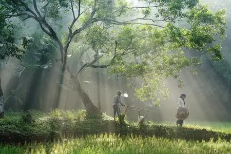 Photos by Rarindra Prakarsa from Jakarta, Indonesia