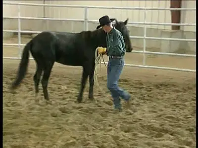 Clinton Anderson - Starting Under Saddle