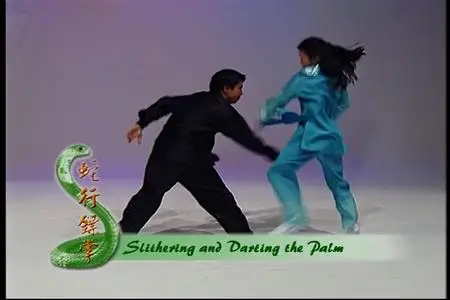 TC Media - Snake Fist Emei Style (2001)