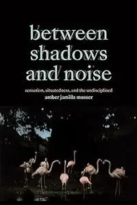 Between Shadows and Noise: Sensation, Situatedness, and the Undisciplined