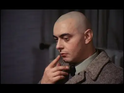 Die Zärtlichkeit der Wölfe (1973)