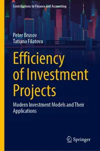 Efficiency of Investment Projects: Modern Investment Models and Their Applications