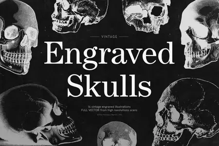 EE - Engraved Skulls Illustrations 6N52ZE