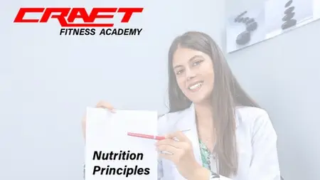 Basic Principles Of Nutrition To Support Physical Activity