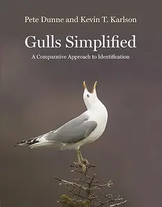 Gulls Simplified: A Comparative Approach to Identification (repost)