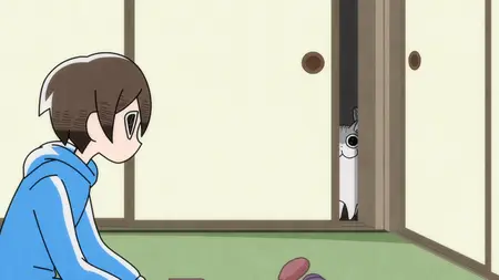 Nights With a Cat - S01E17 - Night 17 Cats Can Pass Through If Their Heads Pass Through