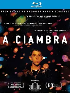 The Ciambra (2017) + Extras