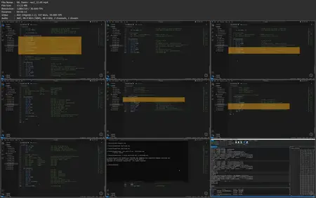 Specialized Exploits: Windows and Linux x32 Shellcode