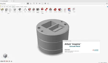 Altair Inspire Extrude 2025.0