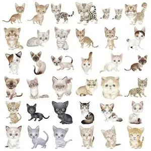 Cats Clipart