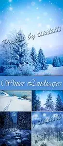 Stock Photo - Amazing Winter Landscapes
