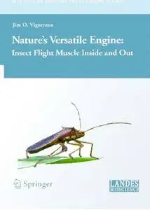 Nature's Versatile Engine: Insect Flight Muscle Inside and Out [Repost]