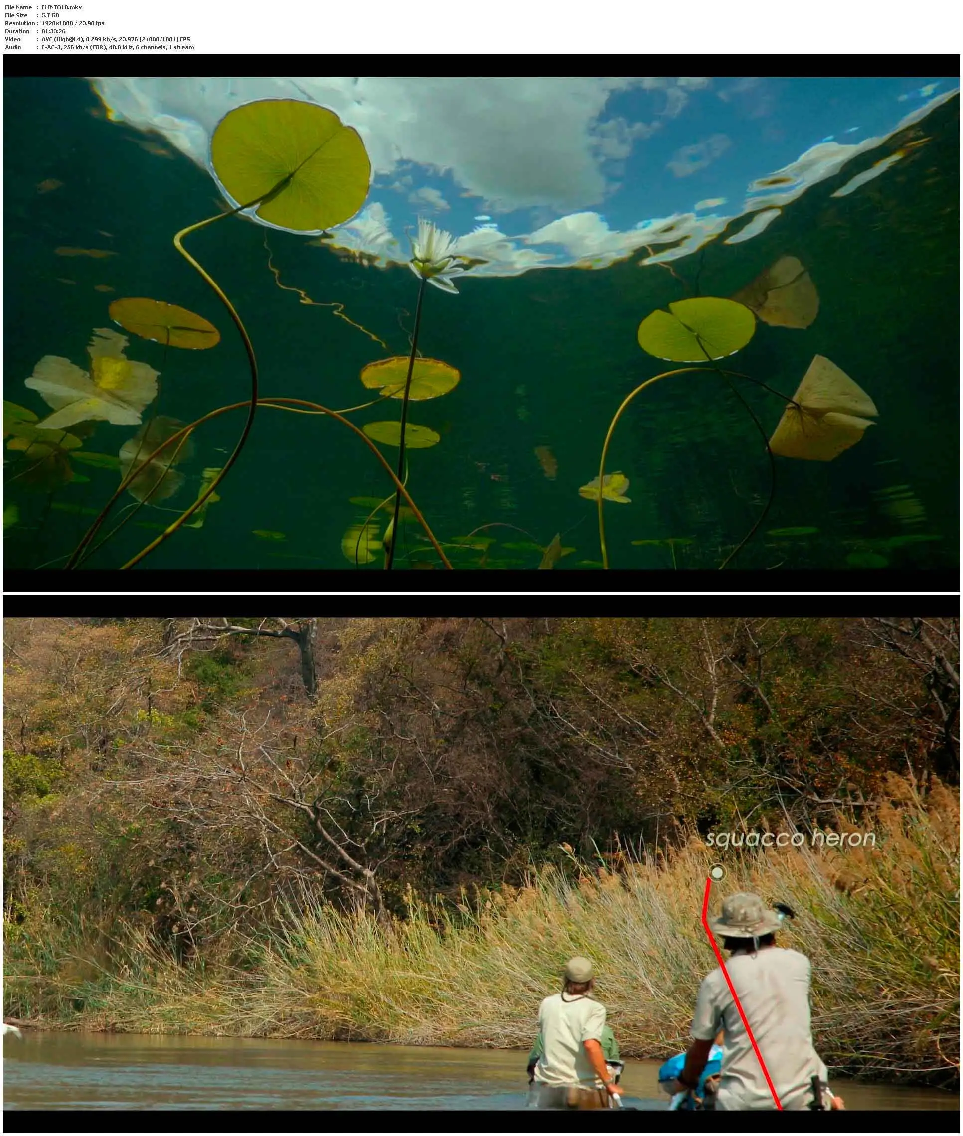 Into the Okavango (2018)